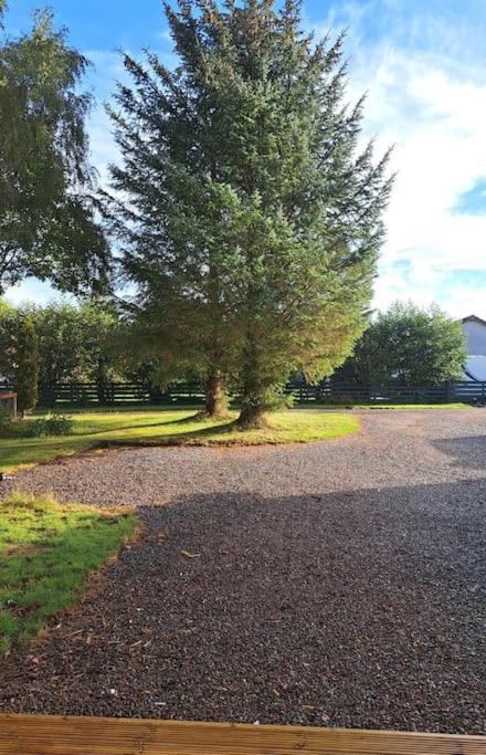 Little Slioch Cottage- A Break From City Life أفوتش المظهر الخارجي الصورة